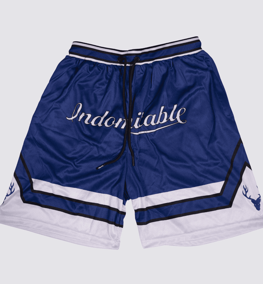 BreezyBall Shorts (NAVY BLUE & WHITE) - Stag Clothing 
